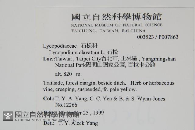 石松藏品圖，第2張