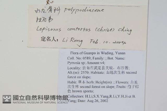 扭瓦葦藏品圖，第2張