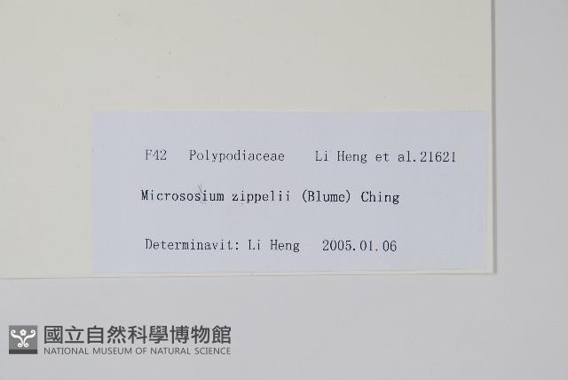 登錄號:P010743藏品圖，第2張