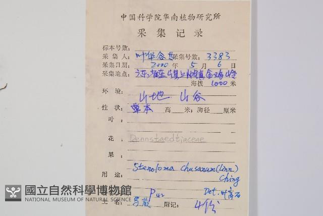 烏蕨藏品圖，第2張