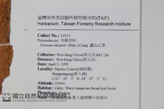 盧山石葦藏品圖，第2張