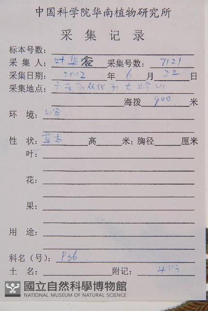 江南短腸蕨藏品圖，第2張