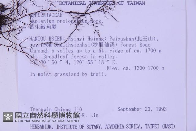 Accession Number:P002973 Collection Image, Figure 2, Total 5 Figures