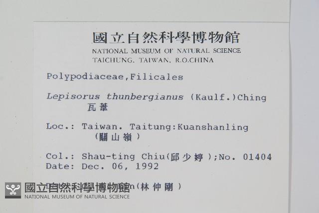 瓦葦藏品圖，第2張