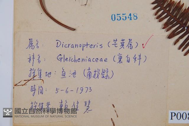 登錄號:P008073藏品圖，第2張