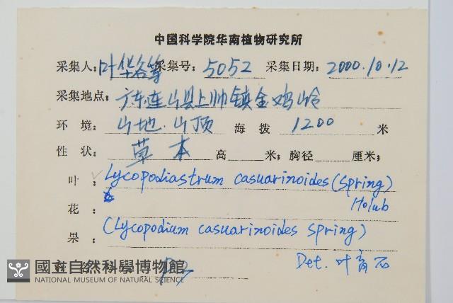 藤石松藏品圖，第2張