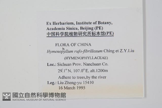 登錄號:P005673藏品圖，第2張