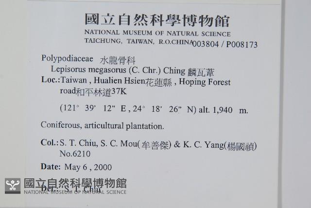 麟瓦葦、川上氏瓦葦藏品圖，第2張