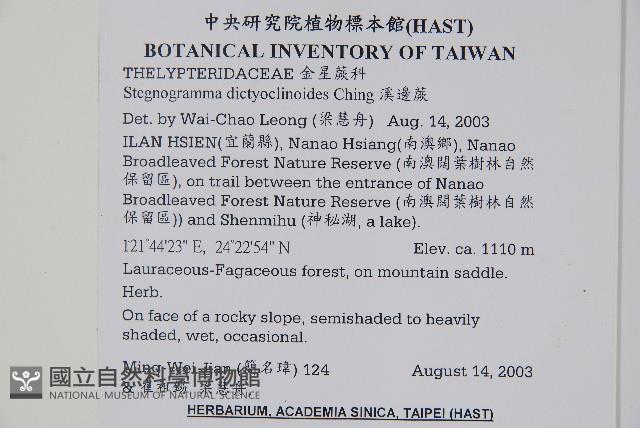 聖蕨藏品圖，第2張