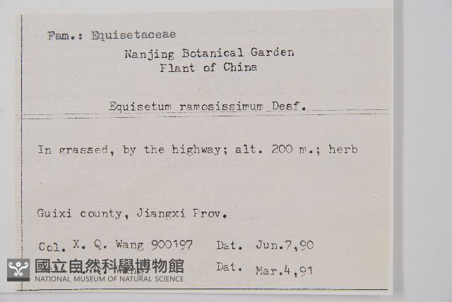 木賊藏品圖，第2張