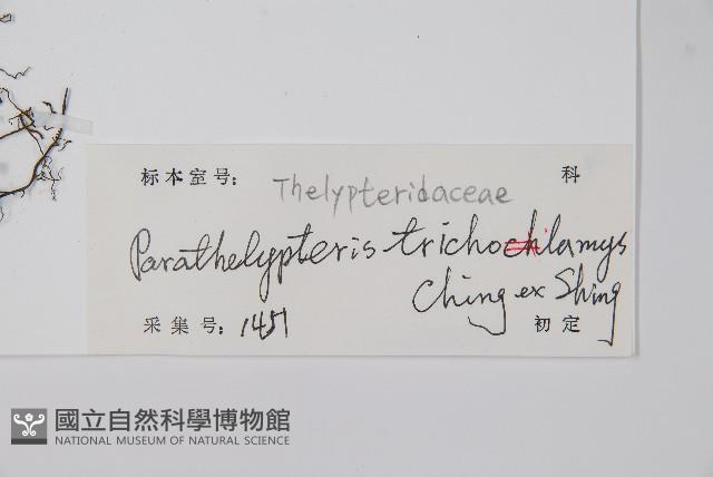 登錄號:P012873藏品圖，第2張