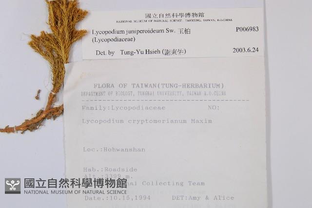 玉柏藏品圖，第2張