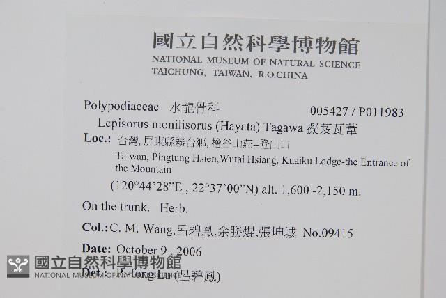 擬芨瓦葦藏品圖，第2張