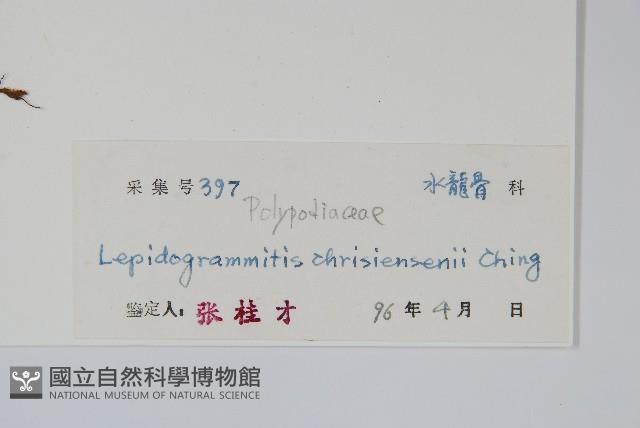 登錄號:P004983藏品圖，第2張