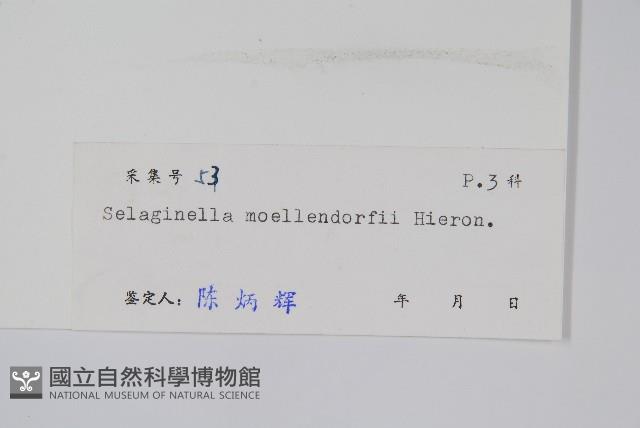 Accession Number:P004183 Collection Image, Figure 2, Total 2 Figures