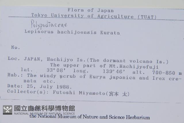 登錄號:P012783藏品圖，第2張