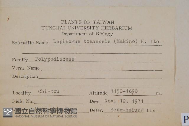 擬瓦葦藏品圖，第2張