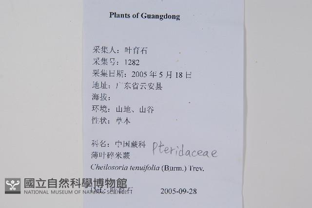 登錄號:P012583藏品圖，第2張