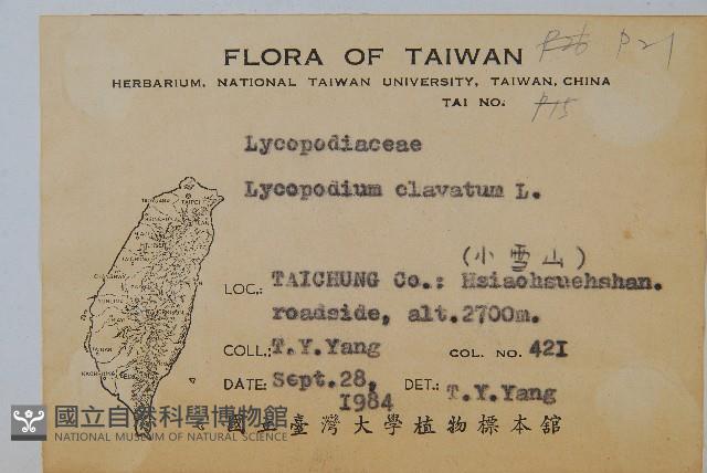 石松藏品圖，第2張