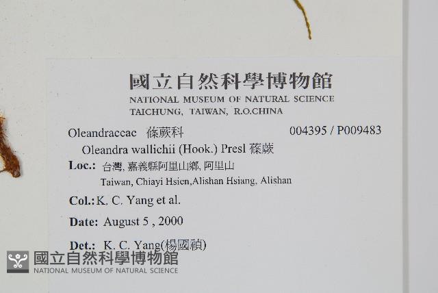 Accession Number:P009483 Collection Image, Figure 2, Total 2 Figures