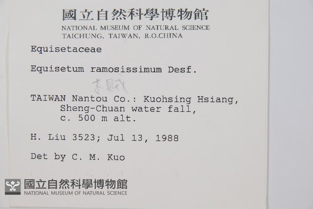 木賊藏品圖，第2張