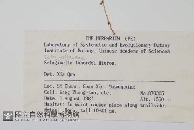 Accession Number:P003283 Collection Image, Figure 2, Total 2 Figures