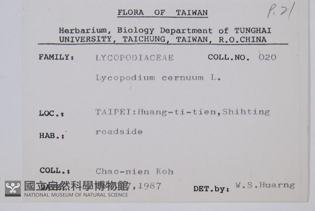 過山龍藏品圖，第2張