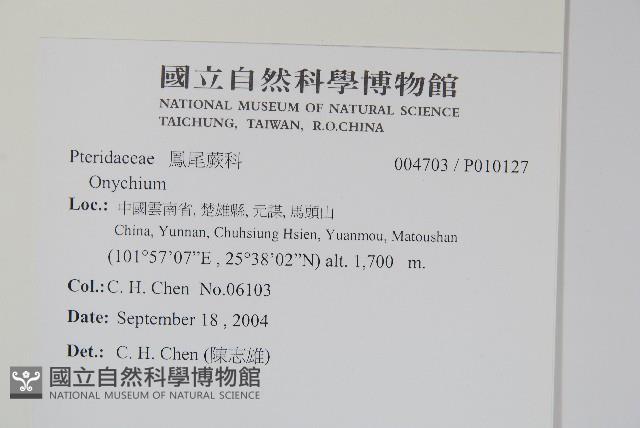 登錄號:P010127藏品圖，第2張