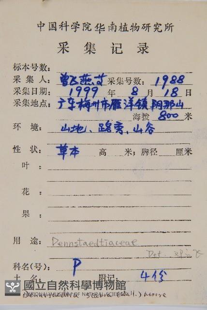 碗蕨藏品圖，第2張