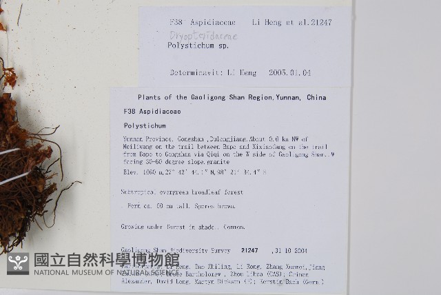 登錄號:P010727藏品圖，第1張
