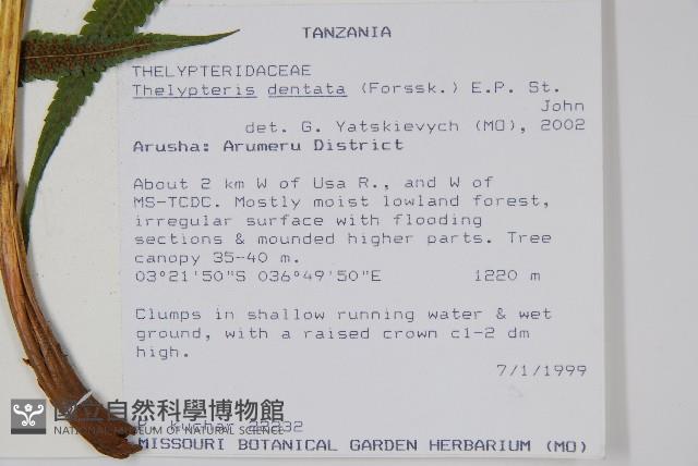 登錄號:P010027藏品圖，第2張