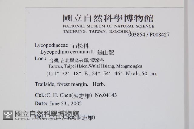 過山龍藏品圖，第2張