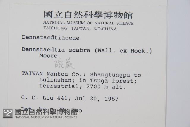 Accession Number:P000427 Collection Image, Figure 2, Total 4 Figures