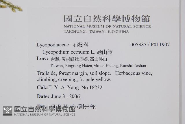 過山龍藏品圖，第2張