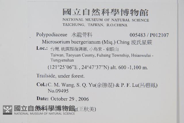 Accession Number:P012107 Collection Image, Figure 2, Total 2 Figures