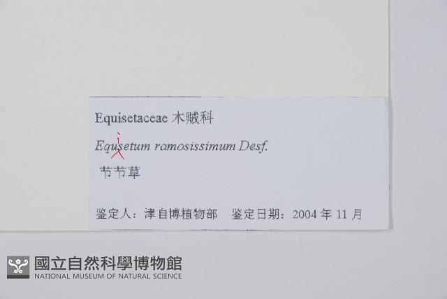 木賊藏品圖，第2張