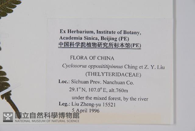 Accession Number:P005707 Collection Image, Figure 2, Total 2 Figures