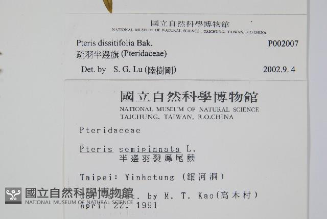 疏羽半邊旗藏品圖，第2張