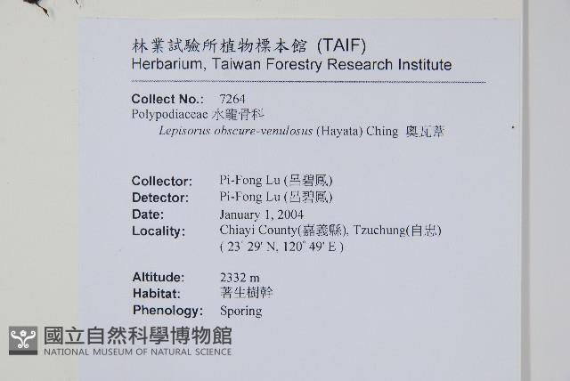 粵瓦葦藏品圖，第2張