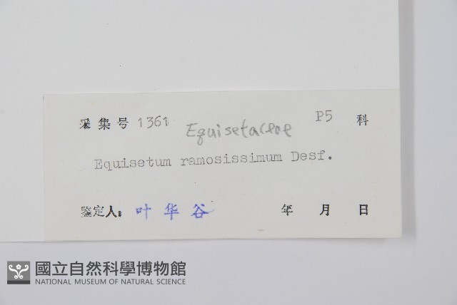 木賊藏品圖，第2張