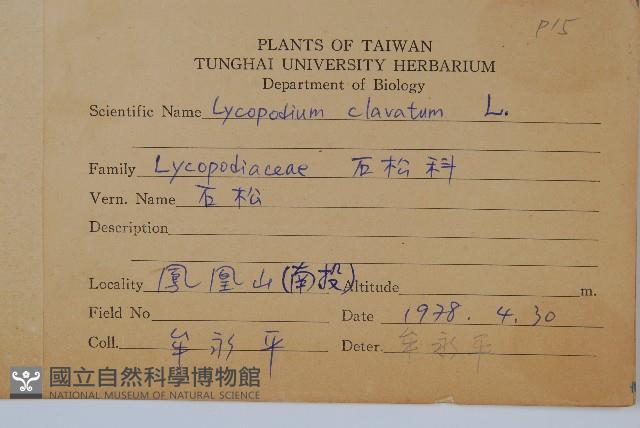 石松藏品圖，第2張