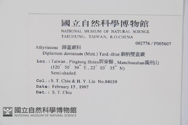 細柄雙蓋蕨藏品圖，第2張