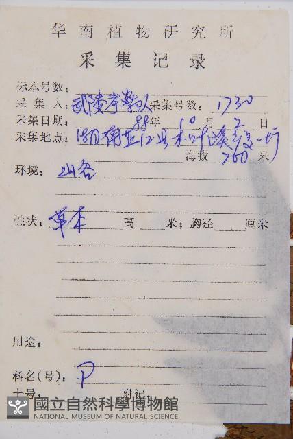 異裂短腸蕨藏品圖，第5張