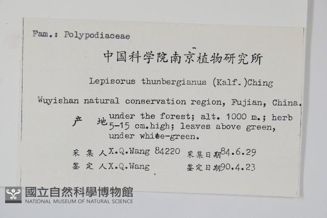 瓦葦藏品圖，第2張