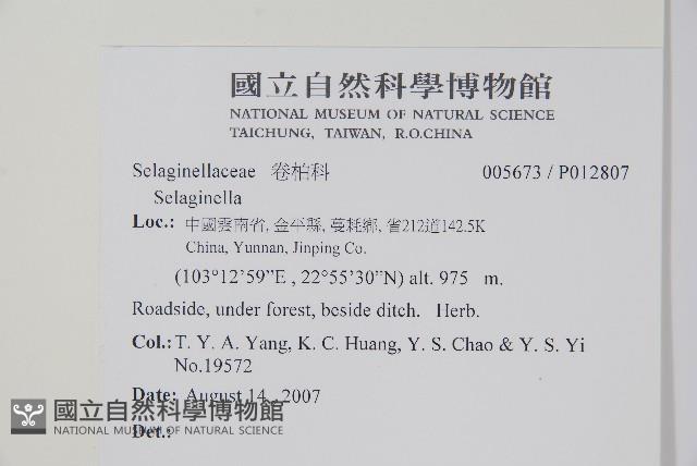 登錄號:P012807藏品圖，第2張