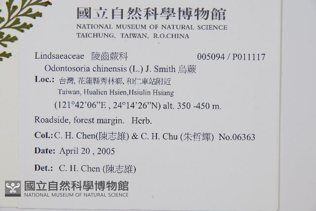 烏蕨藏品圖，第2張