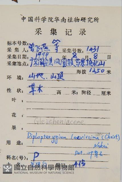 鱗芽裡白藏品圖，第2張