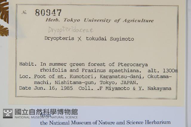 登錄號:P012717藏品圖，第2張