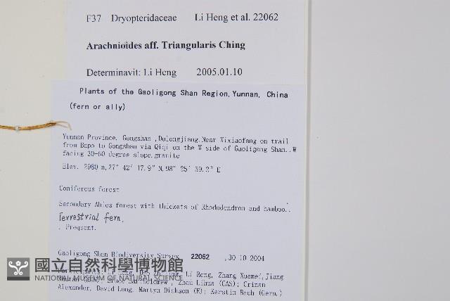 登錄號:P010717藏品圖，第2張