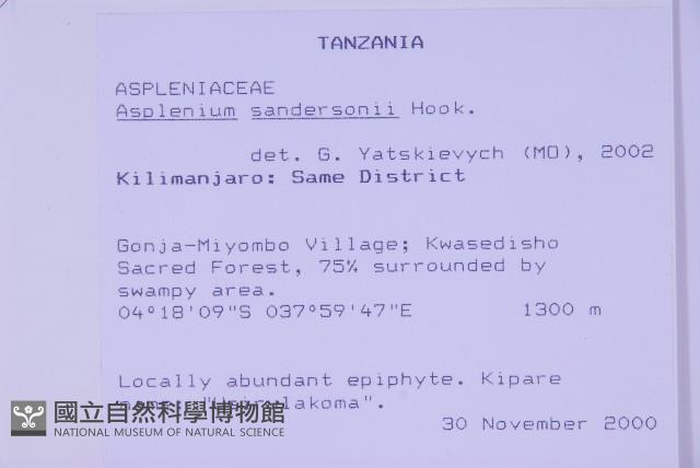 登錄號:P010017藏品圖，第5張